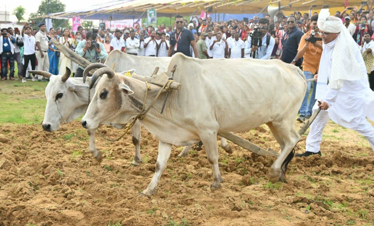 मुख्यमंत्री भूपेश बघेल ने    ‘सोनम’ धान बोया, हल का मूठ थामा…